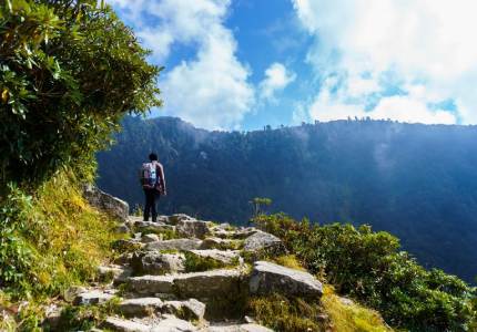 Palampur–Dharamshala Scenic Tour from Chandigarh