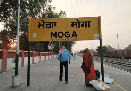 Moga