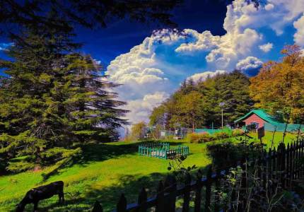 Amritsar to Dharamshala & Dalhousie Scenic Tour